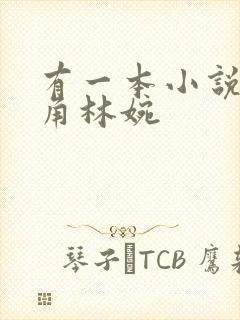 有一本小说女主角林婉