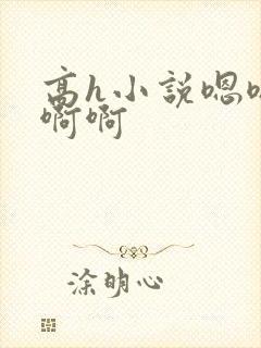 高h小说嗯嗯啊啊啊