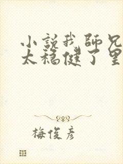 小说我师兄实在太稳健了里