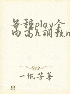 各种play全肉高h调教np