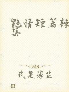 艳情短篇辣文合集