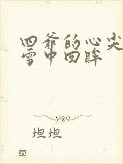 四爷的心尖宠妃雪中回眸封面