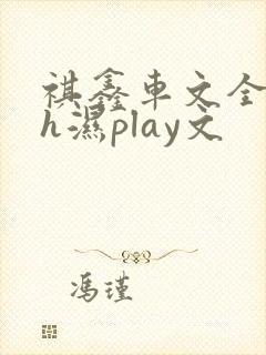 祺鑫车文全肉高h湿play文