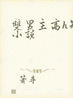 双男主高h短篇小说封面
