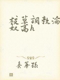 校草调教沦为肉奴高h