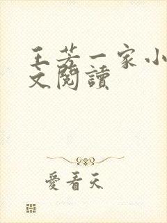 王芳一家小说全文阅读封面