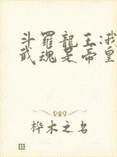 斗罗龙王:我的武魂是帝皇铠甲免费阅读