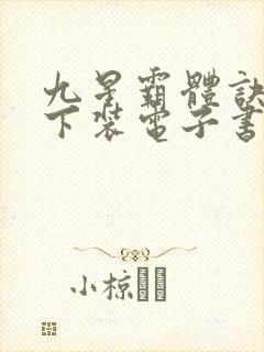 九星霸体诀小说下装电子书