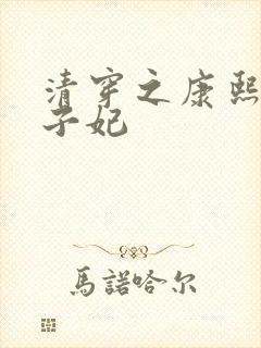 清穿之康熙与太子妃