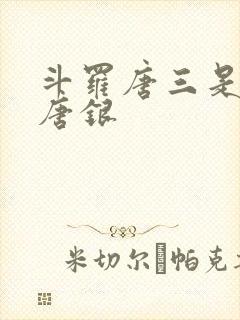 斗罗唐三是我哥唐银封面