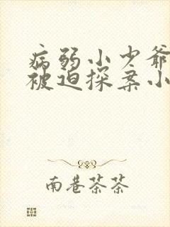 病弱小少爷又在被迫探案小说