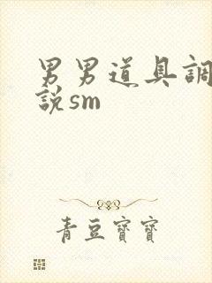 男男道具调教小说sm
