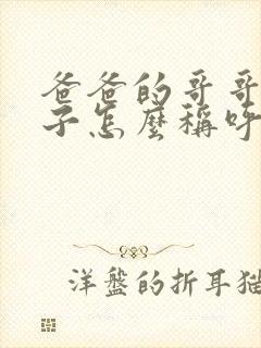 爸爸的哥哥和嫂子怎么称呼
