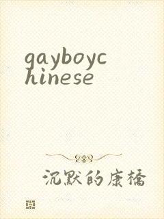 gayboychinese