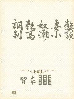 调教奴妻憋尿强制高潮小说