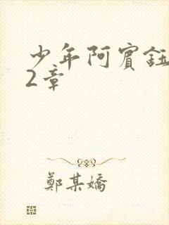 少年阿宾钰慧12章