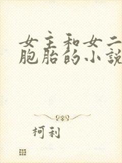 女主和女二是双胞胎的小说