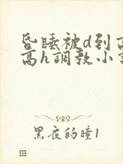 昏睡被d到高潮高h调教小说