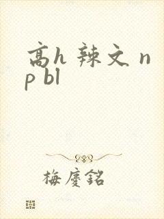 高h 辣文 np bl