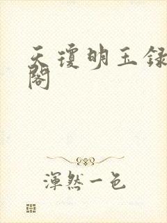 天琼明玉录笔趣阁