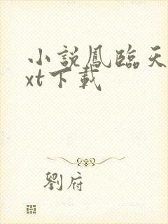 小说凤临天下txt下载