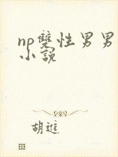 np双性男男h小说