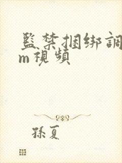 监禁捆绑调教sm视频