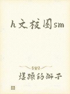 h文校园sm封面