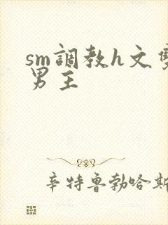 sm调教h文双男主