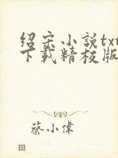 绍宋小说txt下载精校版