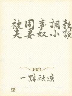 被同事调教成了夫妻奴小说