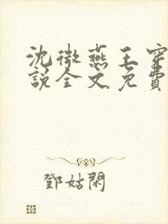 沈微燕王穿越小说全文免费阅读封面