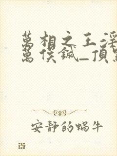 万相之王淫传_万俟铖_顶点小说万相之