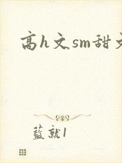 高h文sm甜文