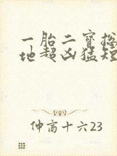 一胎二宝总裁爹地超凶猛短剧封面