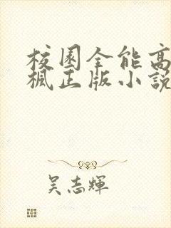 校园全能高手季枫正版小说