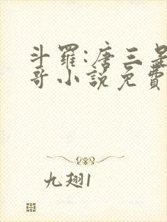 斗罗:唐三是我哥小说免费阅读
