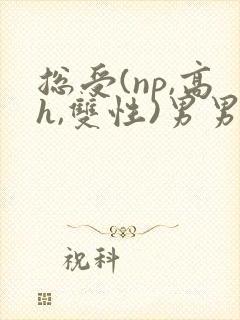 总受(np,高h,双性)男男封面