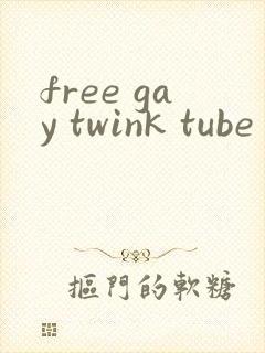 free gay twink tube封面