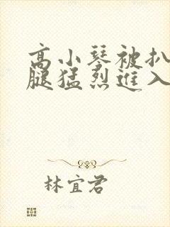 高小琴被扒开双腿猛烈进入小说