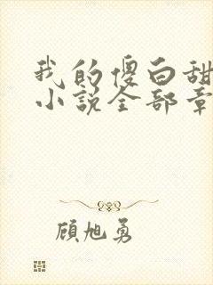 我的傻白甜老婆小说全部章节免费封面