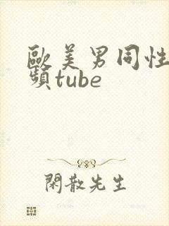 欧美男同性恋视频tube