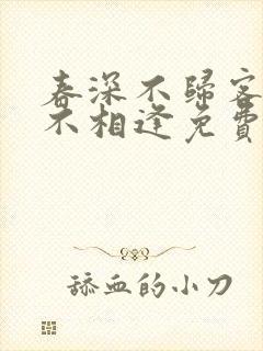 春深不归客清梦不相逢免费全文