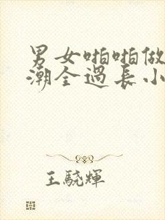 男女啪啪做爰高潮全过长小说