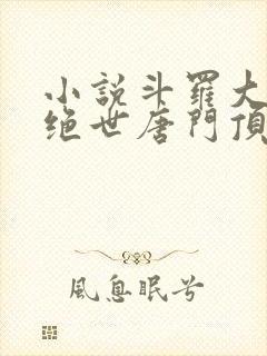 小说斗罗大陆2绝世唐门顶点