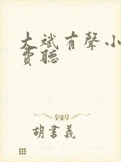 大斌有声小说免费听