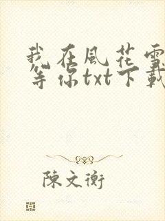 我在风花雪夜里等你txt下载