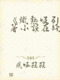 《炽热吸引》原著小说在线阅读封面