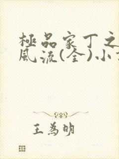 极品家丁之萧氏风流(全)小说