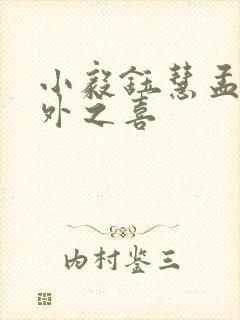 小毅钰慧孟卉意外之喜